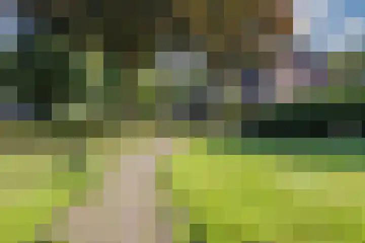 Buizerdlaan 25 Nijkerk thumbnail 31