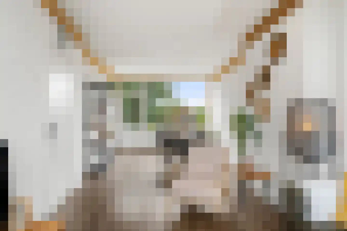 Buizerdlaan 27 1 Ede thumbnail 5