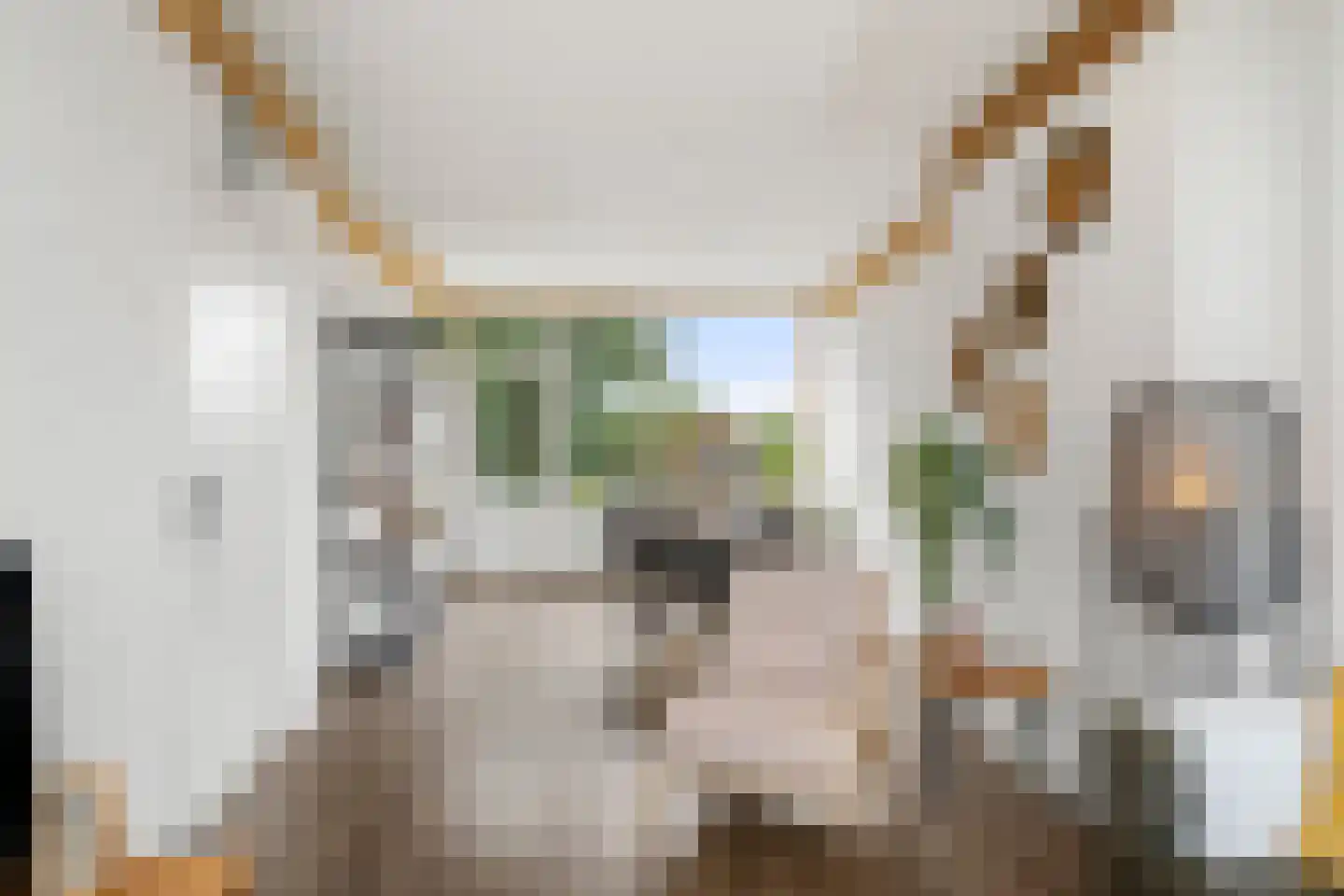 Buizerdlaan 27 1 Ede thumbnail 5