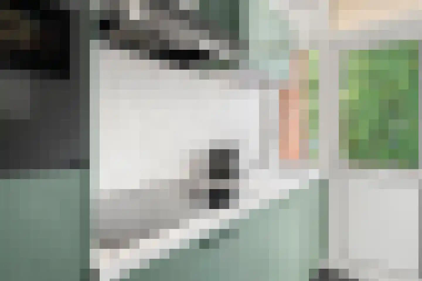 Buizerdlaan 27 1 Ede thumbnail 9