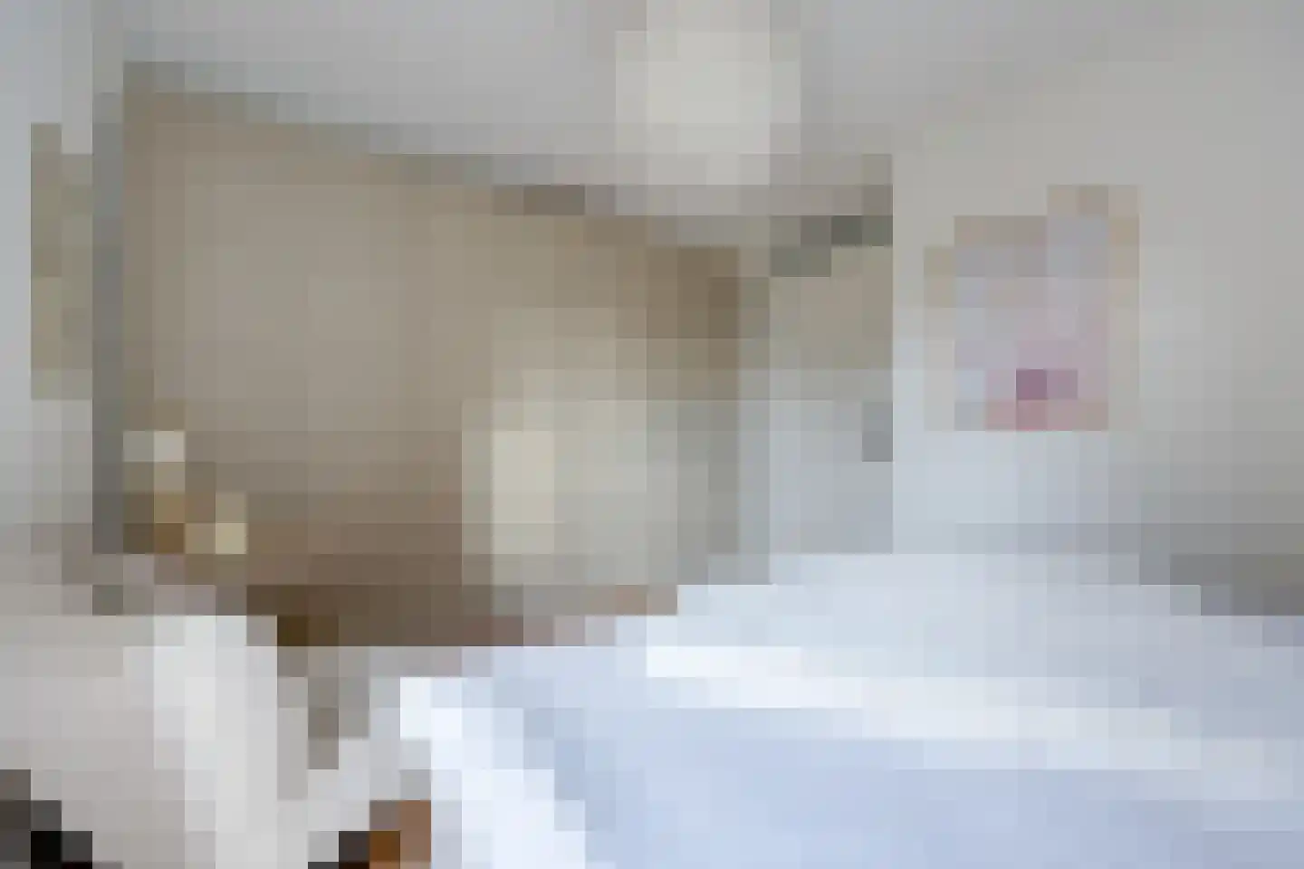 Buizerdlaan 3 Lelystad thumbnail 32