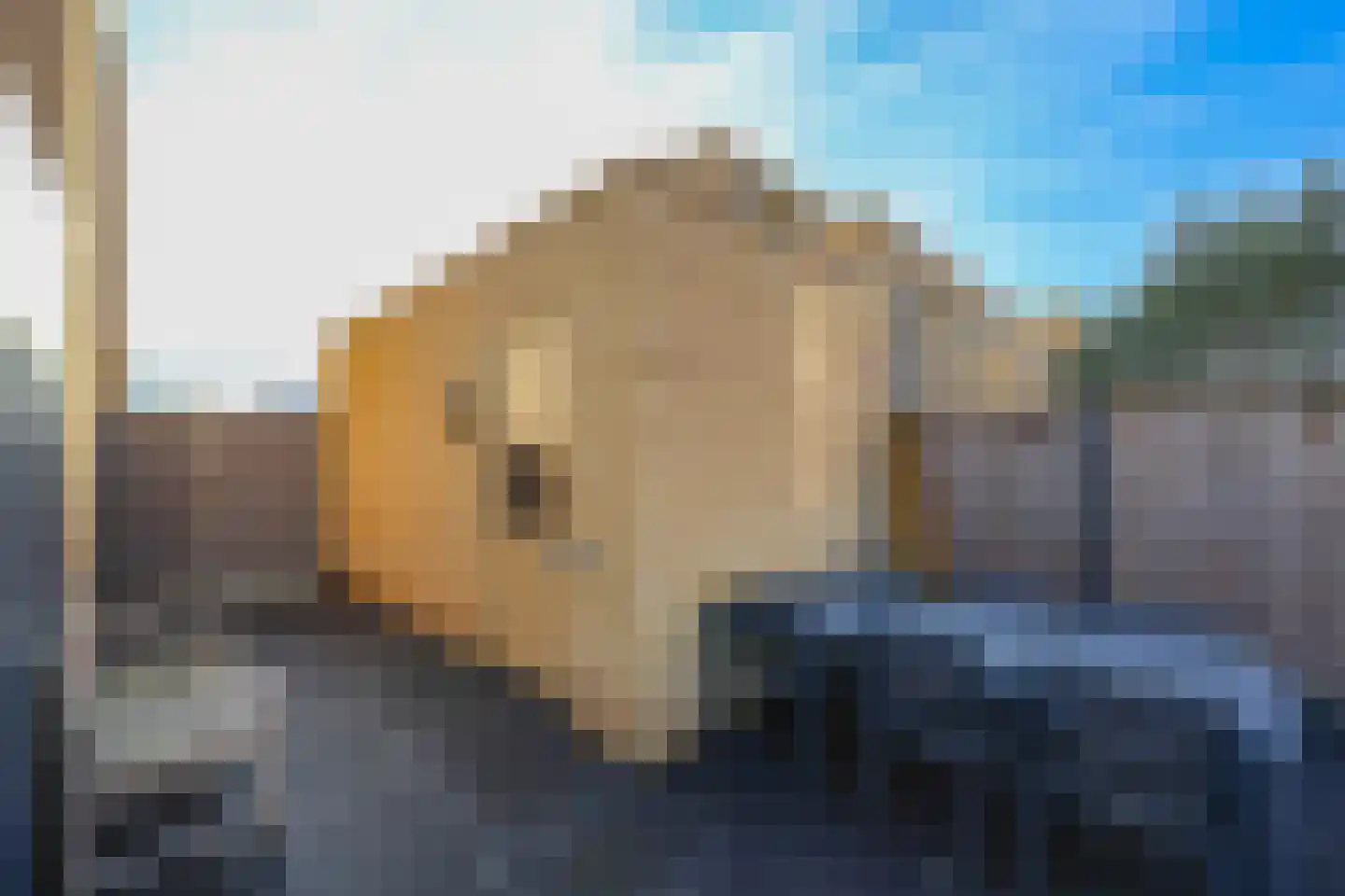 Buizerdlaan 3 Lelystad thumbnail 47