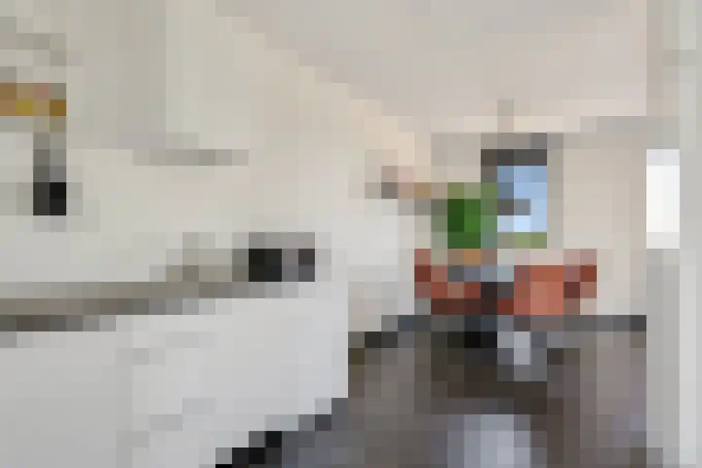 Buizerdlaan 34 Lelystad thumbnail 36