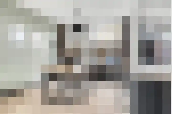 Buizerdlaan 4 Nijkerk thumbnail 10