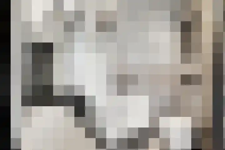 Buizerdlaan 4 Nijkerk thumbnail 12