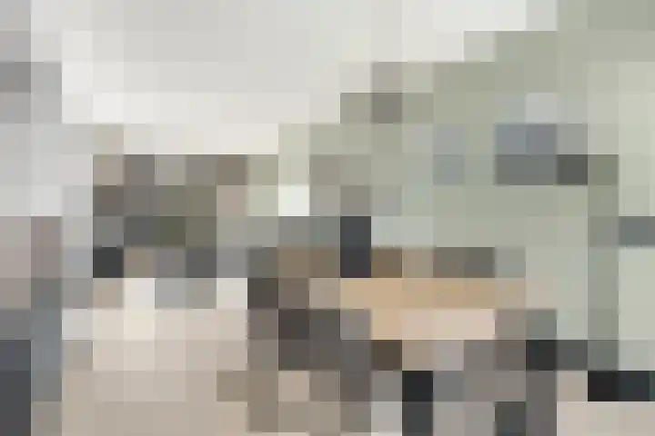 Buizerdlaan 4 Nijkerk foto 2