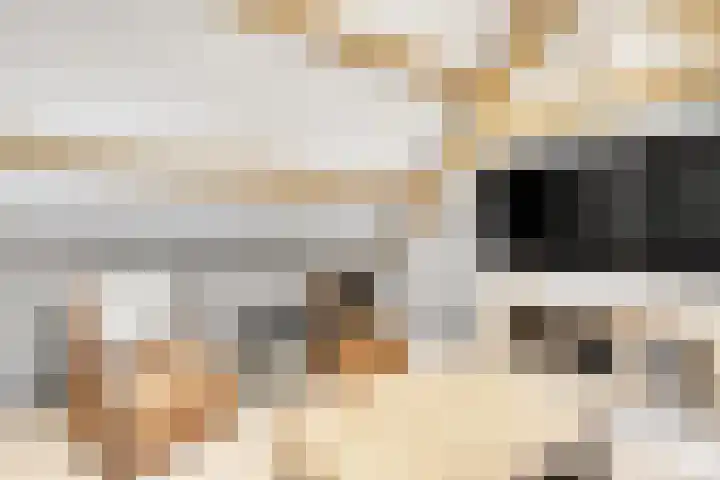 Buizerdlaan 4 Nijkerk thumbnail 25