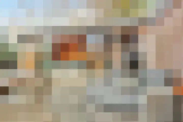 Buizerdlaan 4 Nijkerk thumbnail 28