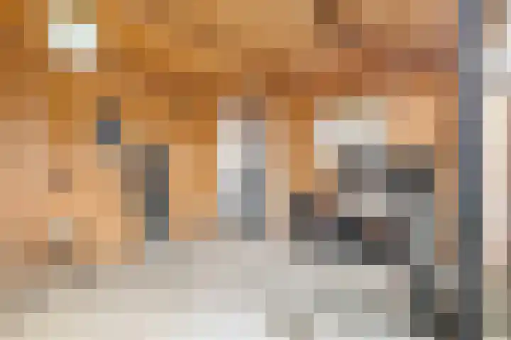 Buizerdlaan 4 Nijkerk thumbnail 31