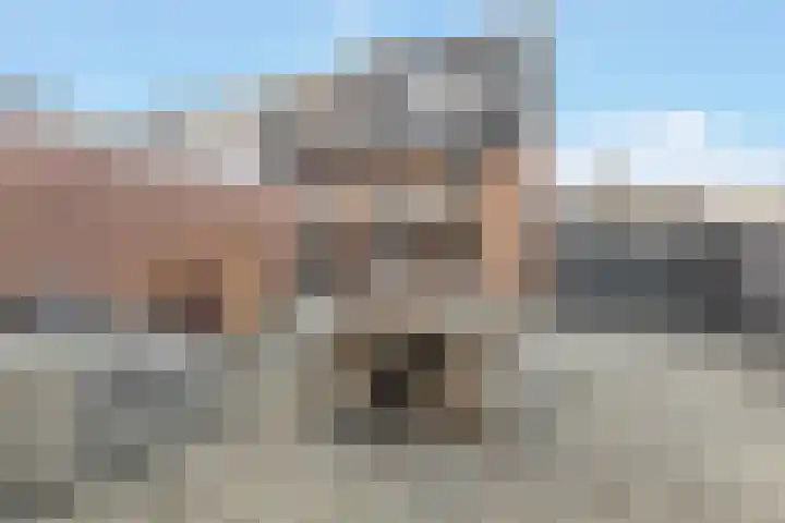 Buizerdlaan 4 Nijkerk thumbnail 32