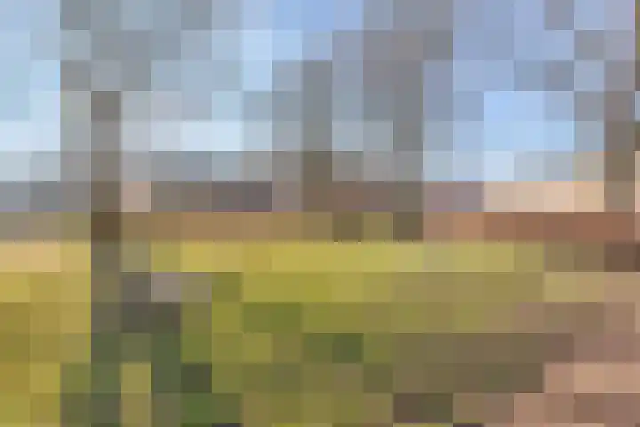 Buizerdlaan 4 Nijkerk thumbnail 33