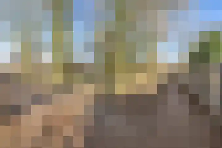 Buizerdlaan 4 Nijkerk thumbnail 34
