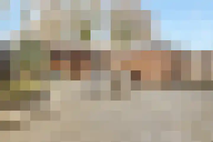 Buizerdlaan 4 Nijkerk thumbnail 4