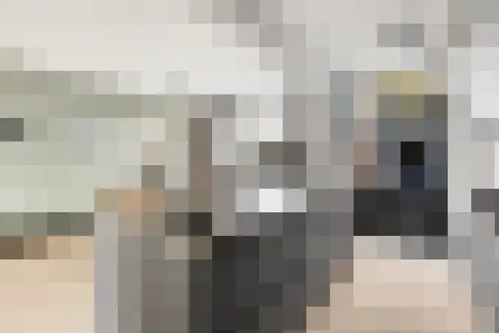 Buizerdlaan 4 Nijkerk thumbnail 8