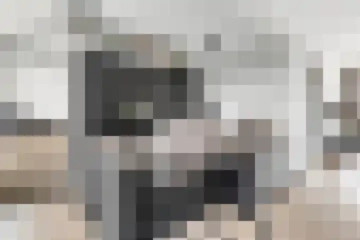 Buizerdlaan 4 Nijkerk thumbnail 9