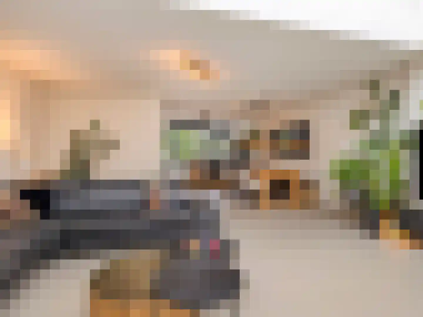 Buizerdlaan 48 Vianen thumbnail 10