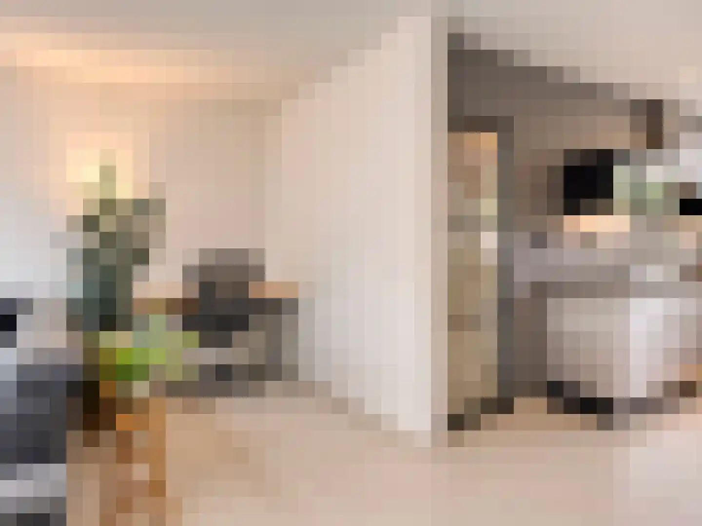 Buizerdlaan 48 Vianen thumbnail 23