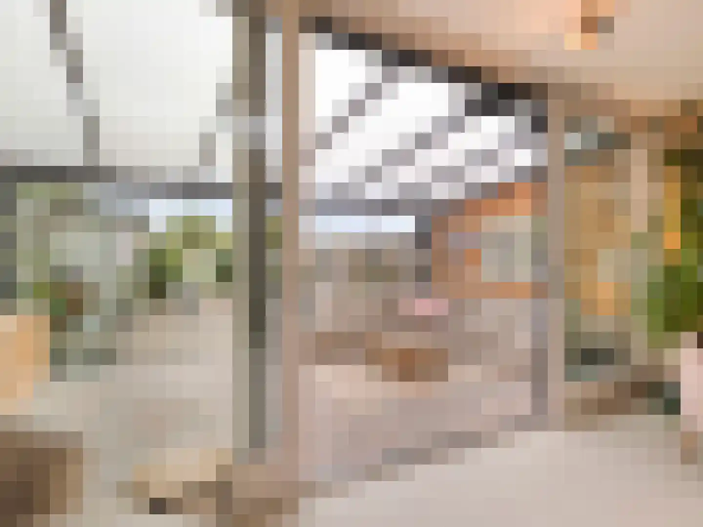 Buizerdlaan 48 Vianen thumbnail 24