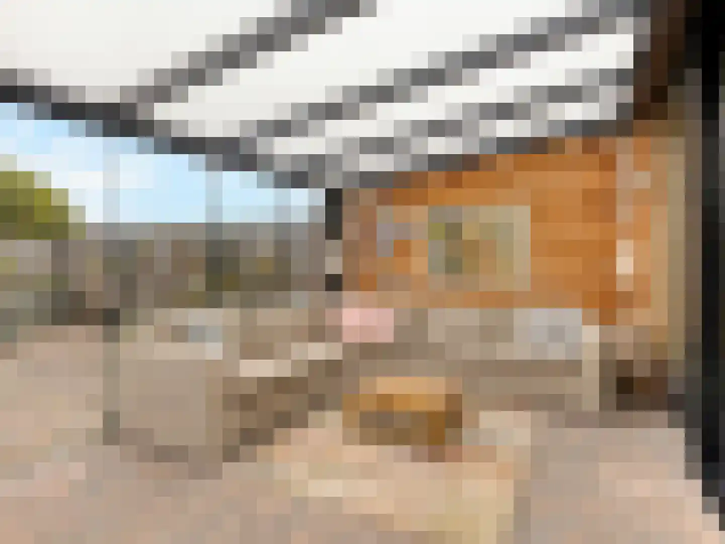 Buizerdlaan 48 Vianen thumbnail 25