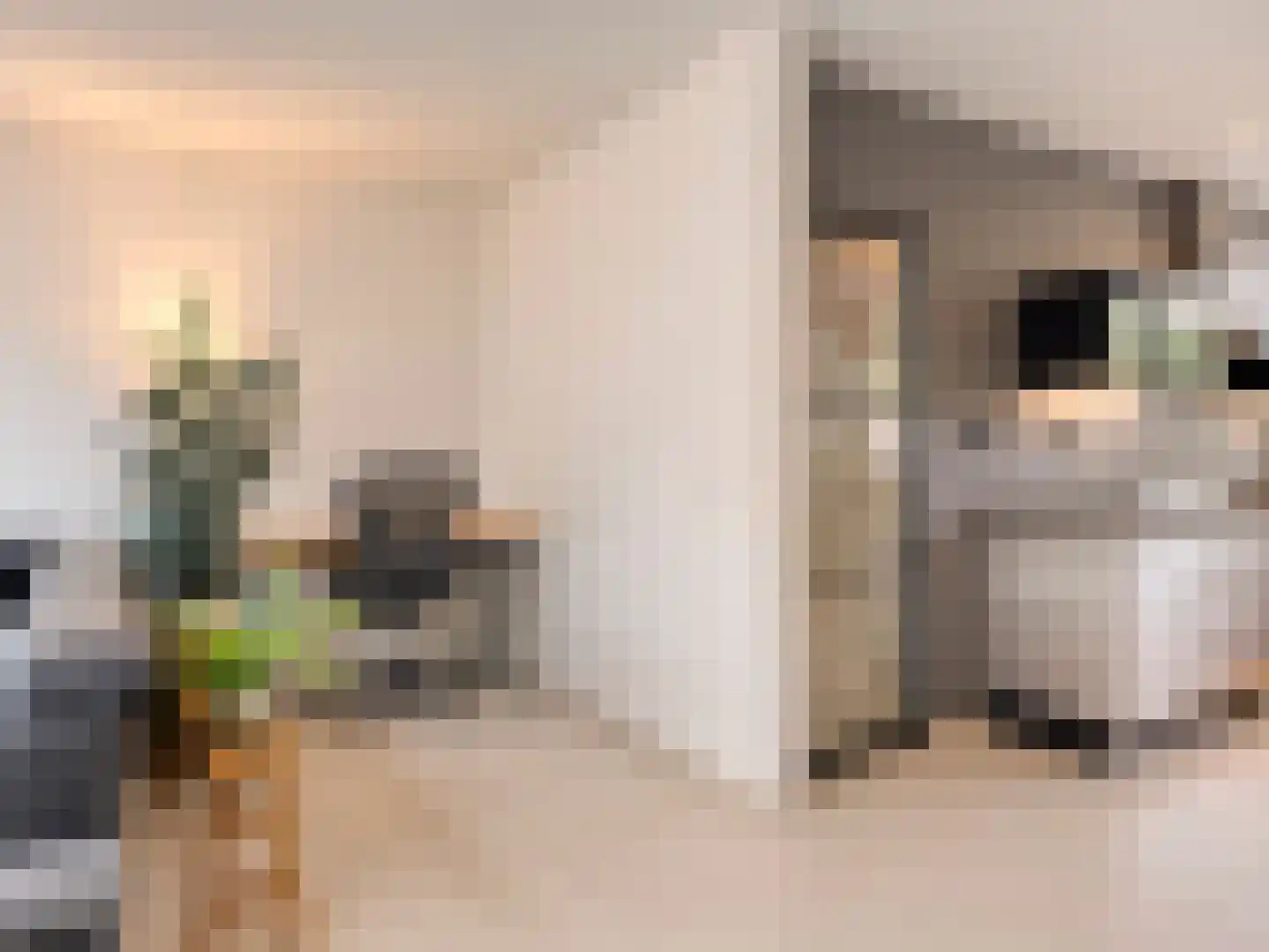 Buizerdlaan 48 Vianen thumbnail 27
