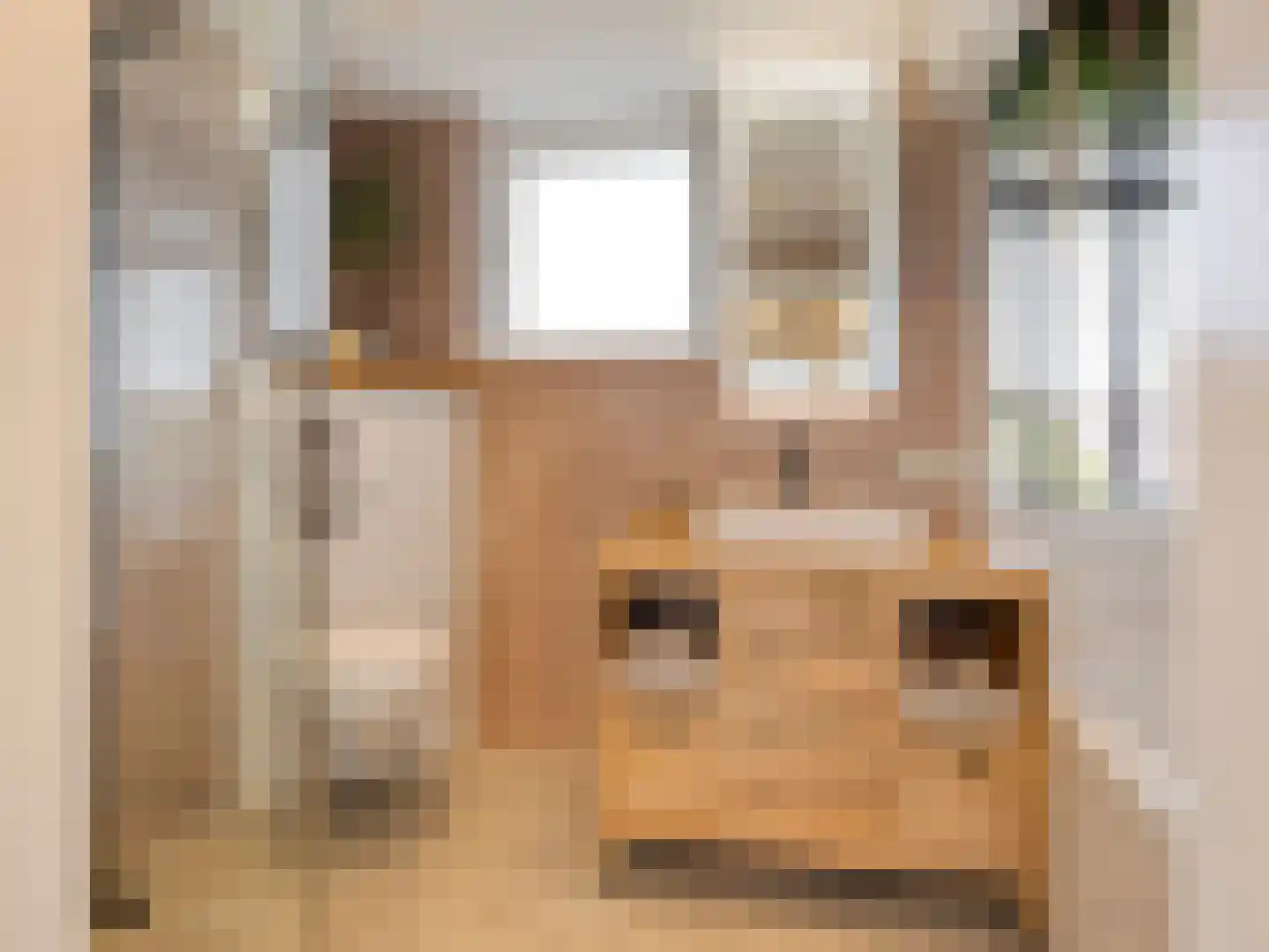 Buizerdlaan 48 Vianen thumbnail 32
