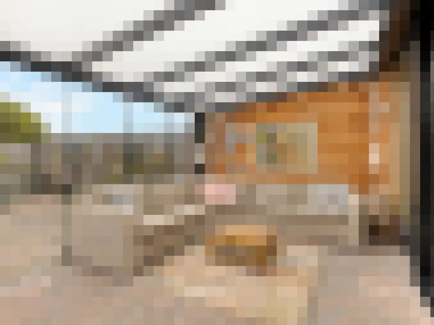 Buizerdlaan 48 Vianen thumbnail 4