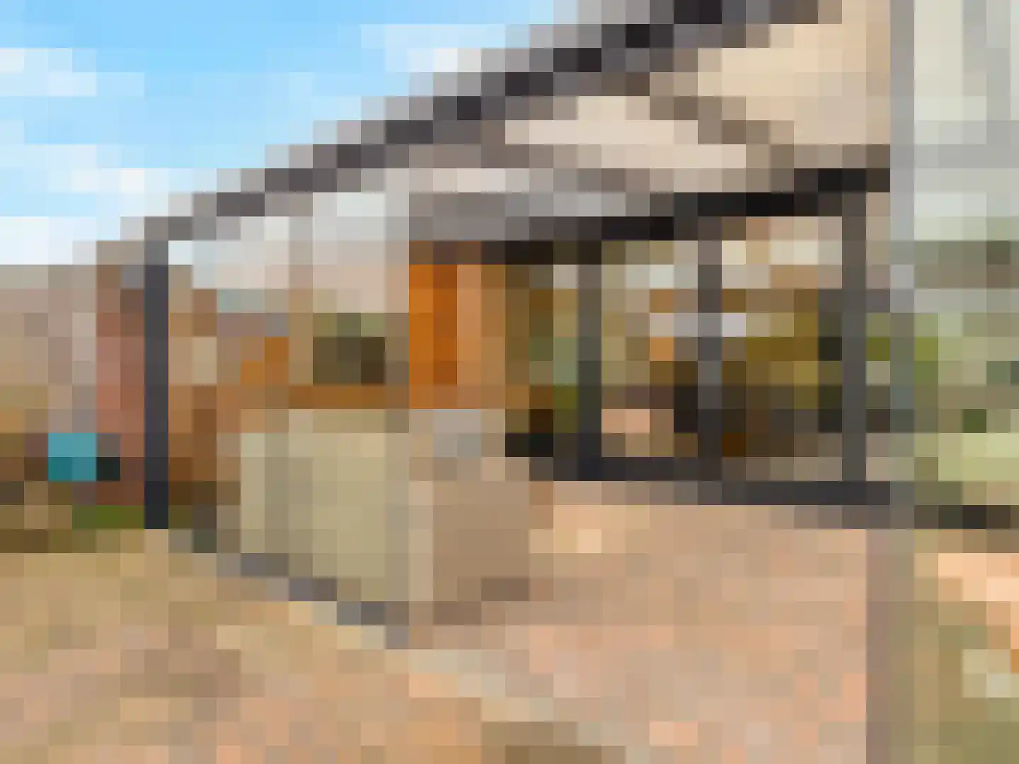 Buizerdlaan 48 Vianen thumbnail 45