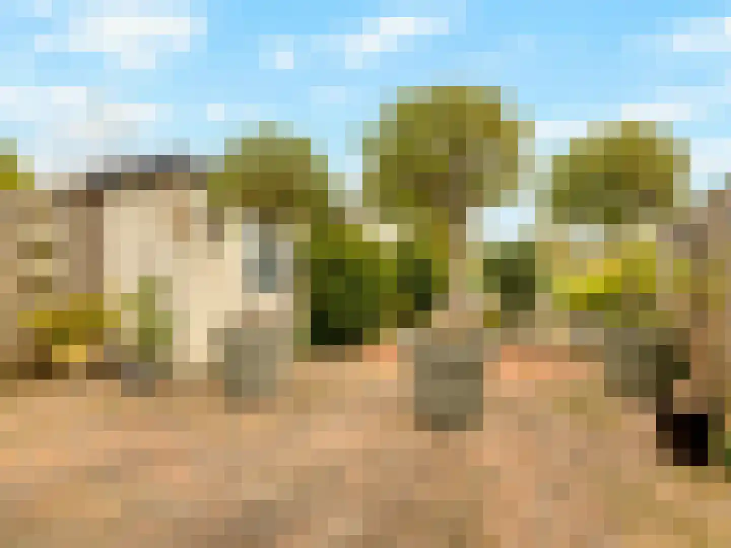 Buizerdlaan 48 Vianen thumbnail 47