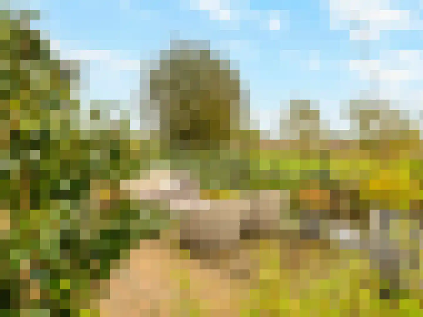 Buizerdlaan 48 Vianen thumbnail 49