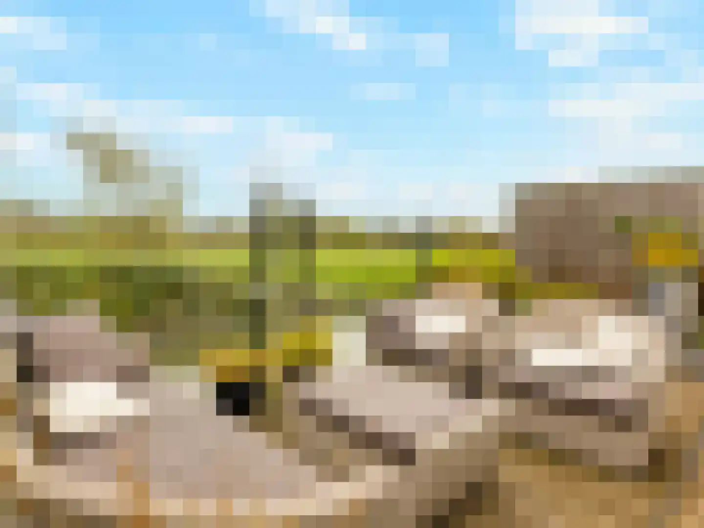 Buizerdlaan 48 Vianen thumbnail 5
