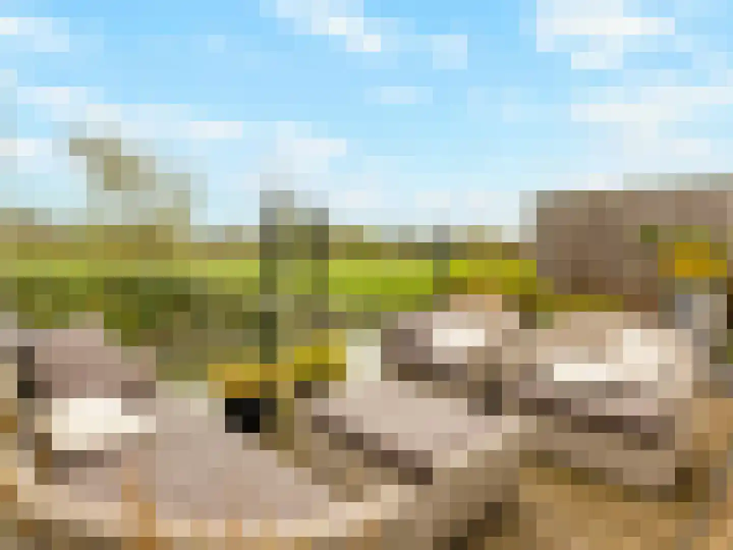 Buizerdlaan 48 Vianen thumbnail 50
