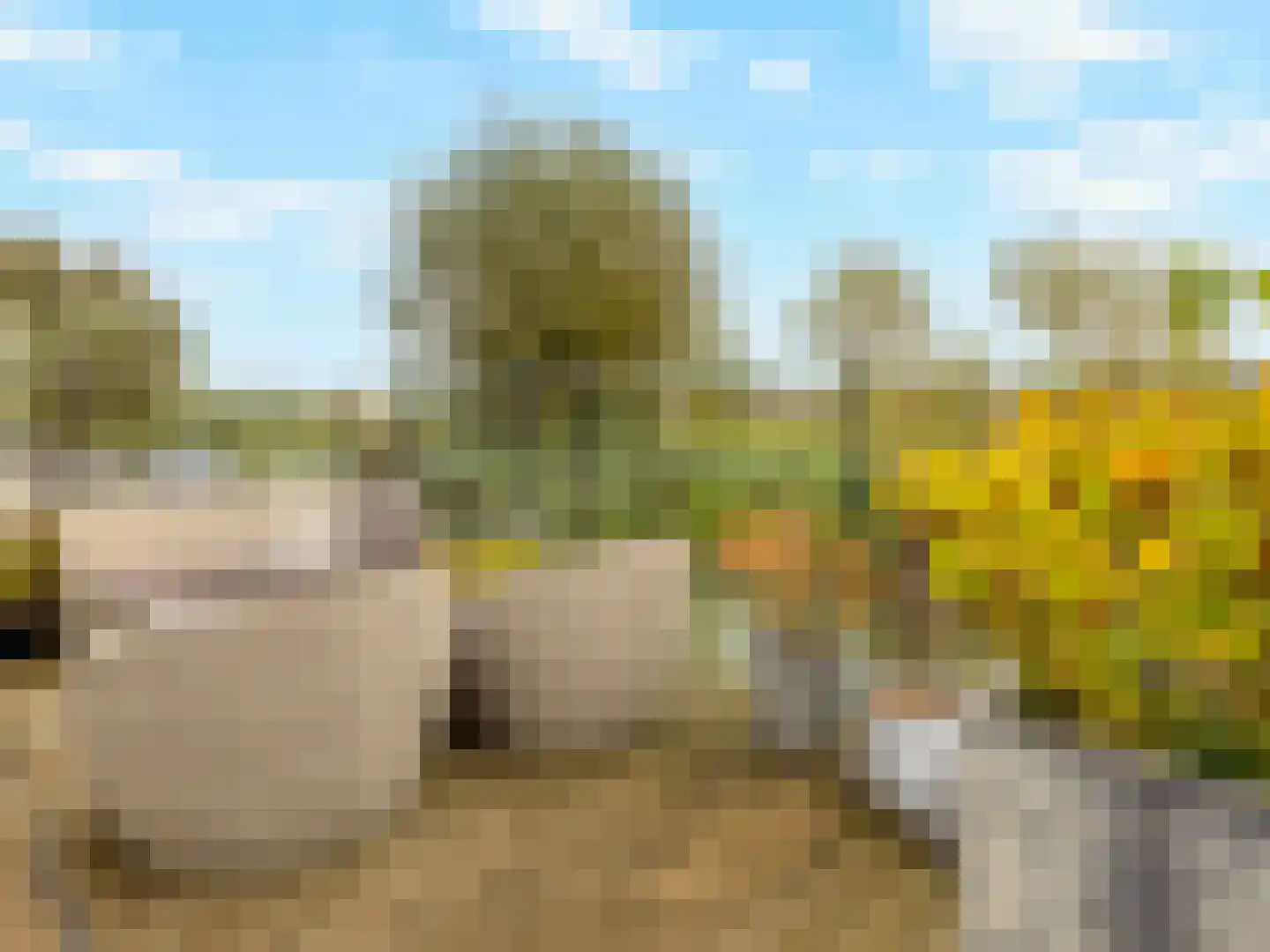 Buizerdlaan 48 Vianen thumbnail 51