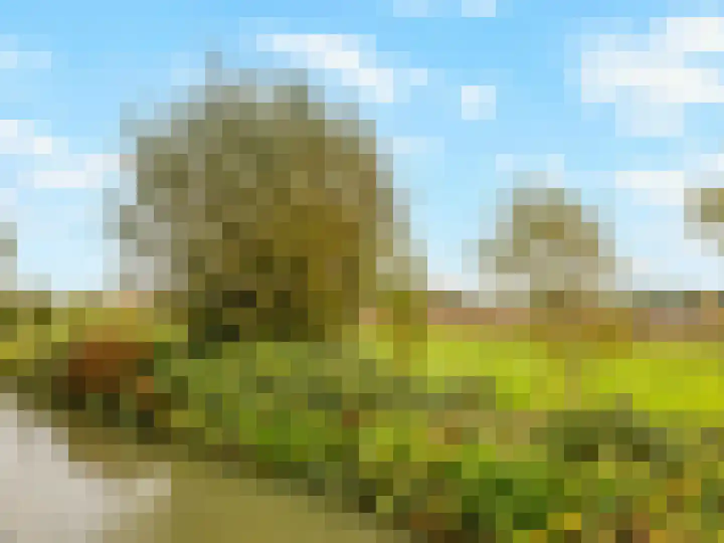Buizerdlaan 48 Vianen thumbnail 53
