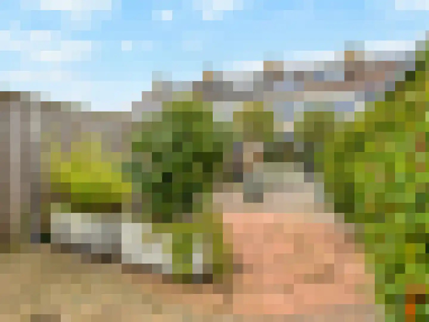 Buizerdlaan 48 Vianen thumbnail 55