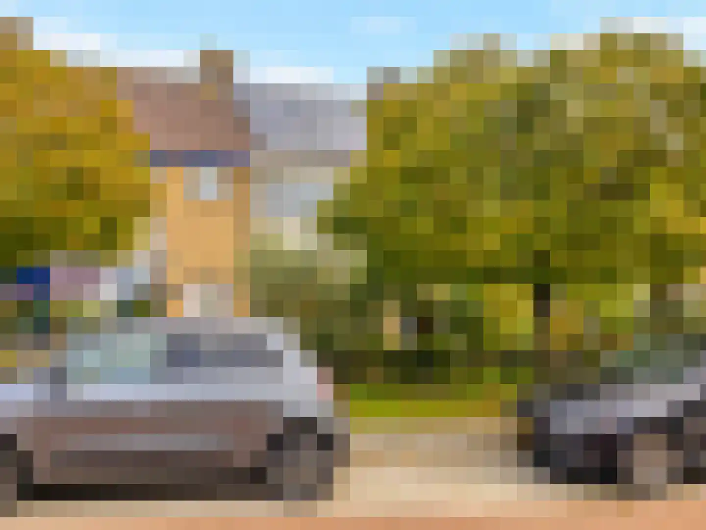 Buizerdlaan 48 Vianen thumbnail 59