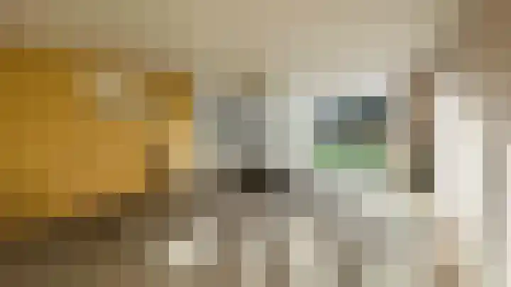 Buizerdlaan 50 Delft thumbnail 4