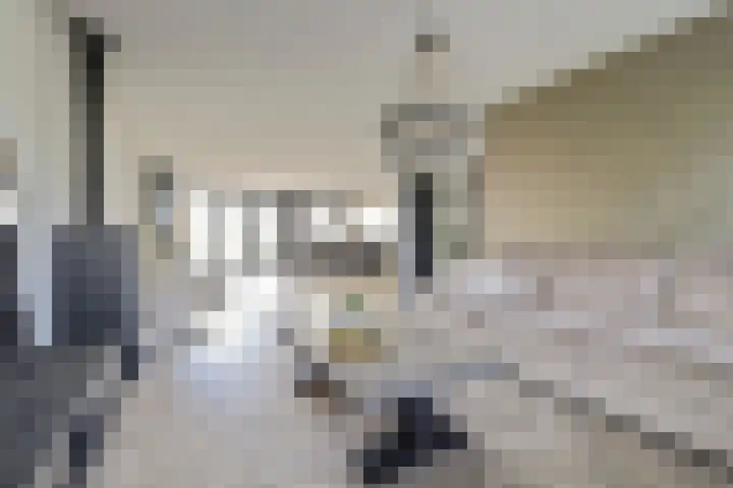 Buizerdlaan 50 Vianen thumbnail 12
