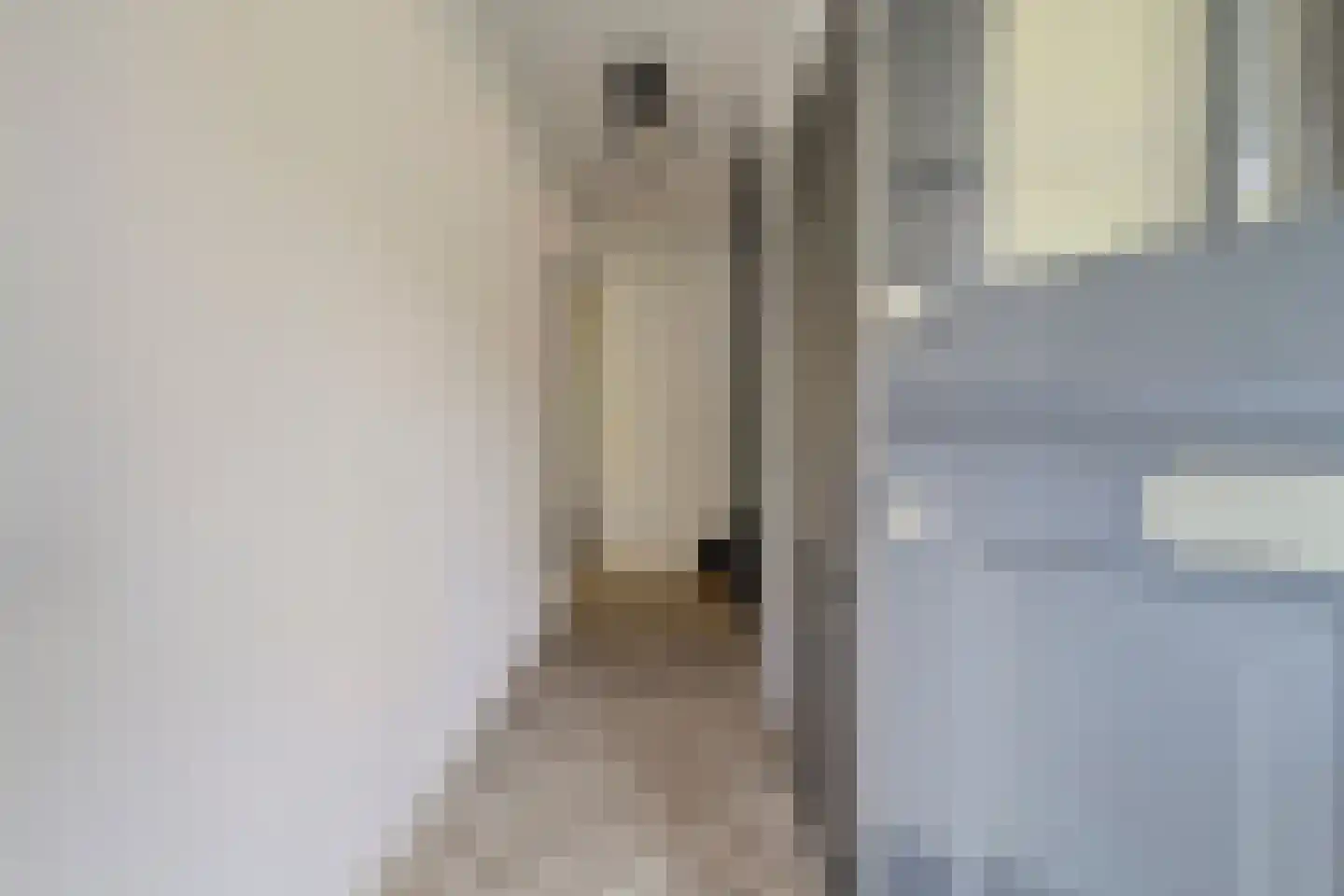 Buizerdlaan 50 Vianen thumbnail 8