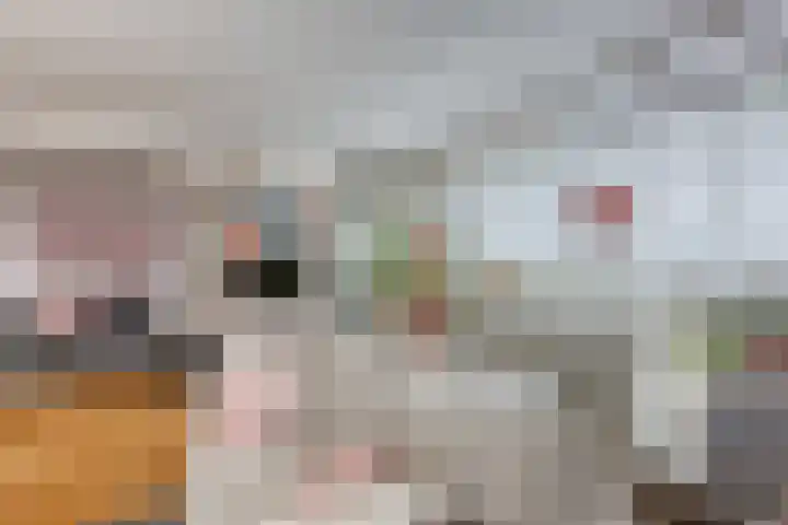Buizerdlaan 53 Leidschendam thumbnail 12
