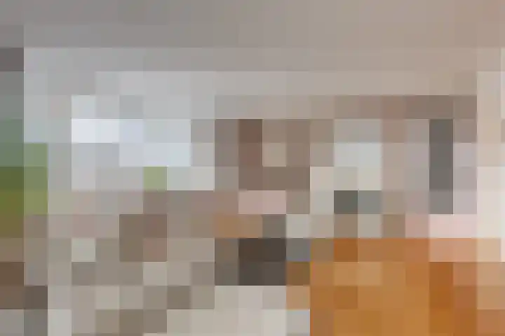 Buizerdlaan 53 Leidschendam thumbnail 15