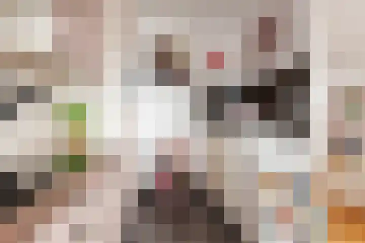 Buizerdlaan 53 Leidschendam thumbnail 18