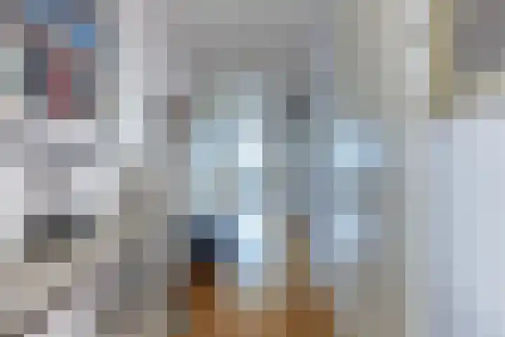 Buizerdlaan 53 Leidschendam thumbnail 19