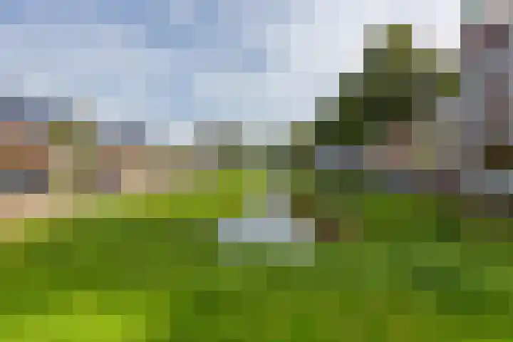 Buizerdlaan 53 Leidschendam thumbnail 28