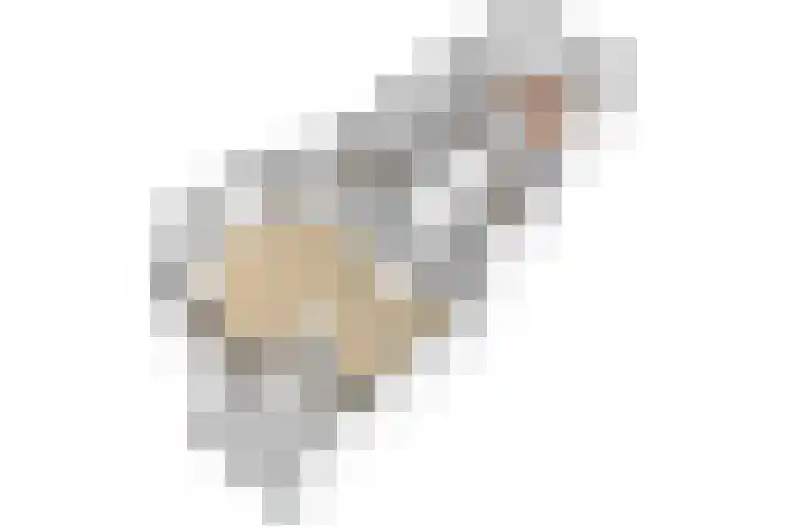 Buizerdlaan 53 Leidschendam thumbnail 34