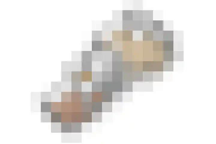 Buizerdlaan 53 Leidschendam thumbnail 35