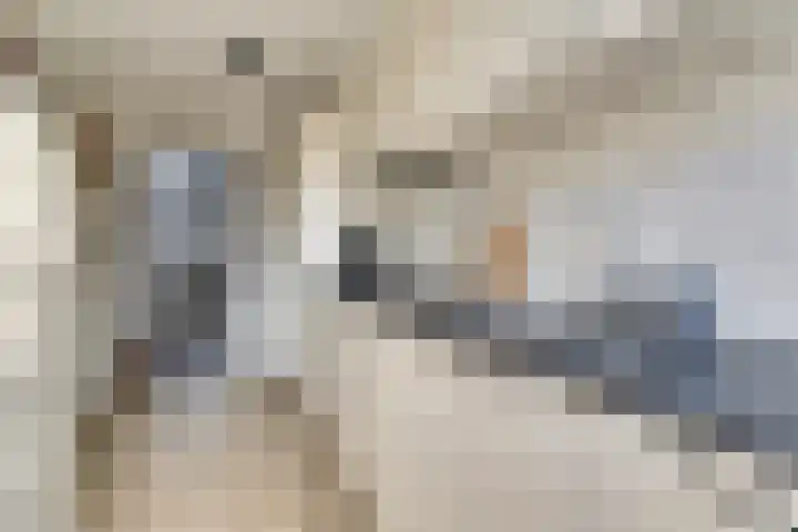Buizerdlaan 6 Dieren thumbnail 14