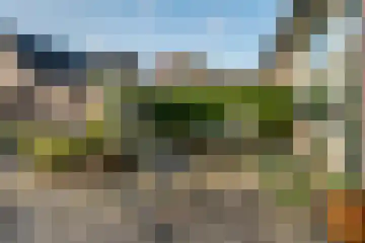 Buizerdlaan 6 Dieren thumbnail 26