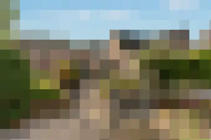 Buizerdlaan 6 Dieren thumbnail 27