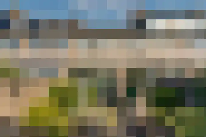 Buizerdlaan 6 Dieren thumbnail 30