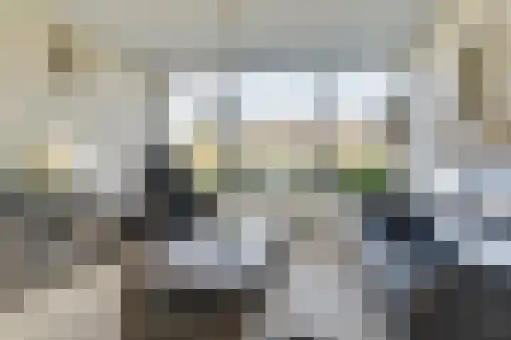Buizerdlaan 6 Dieren thumbnail 7